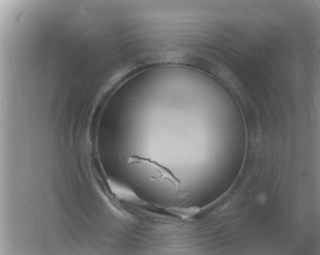 X0000067490674200604150042