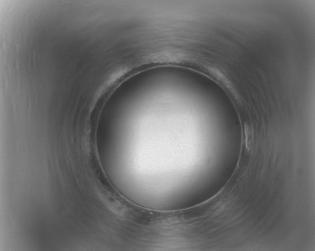 X0000067490675200604150042