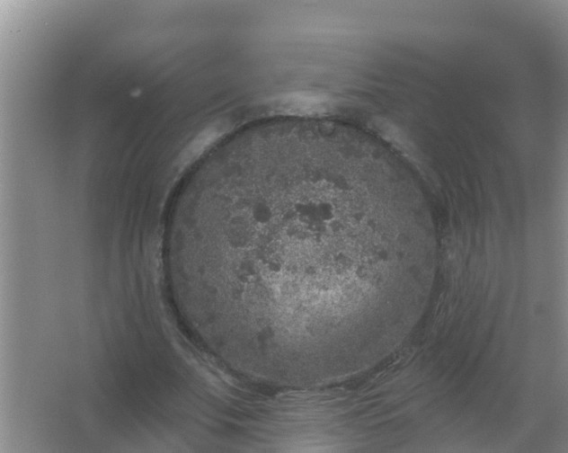 X0000067490679200604150042