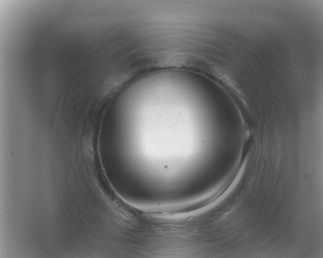 X0000067490681200604150042