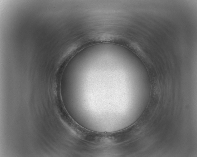 X0000067490683200604150042