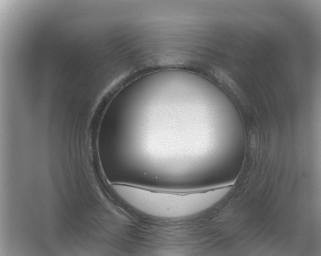 X0000067490684200604150042