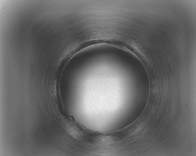 X0000067490685200604150042