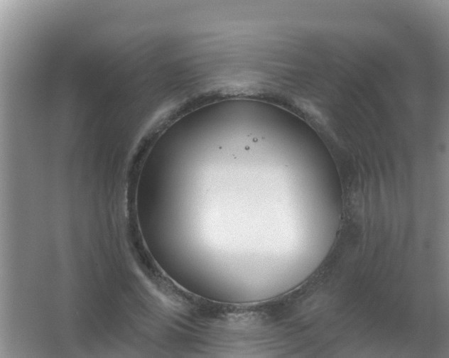 X0000067490686200604150042