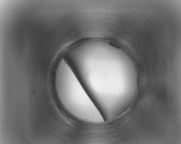 X0000067490688200604150042