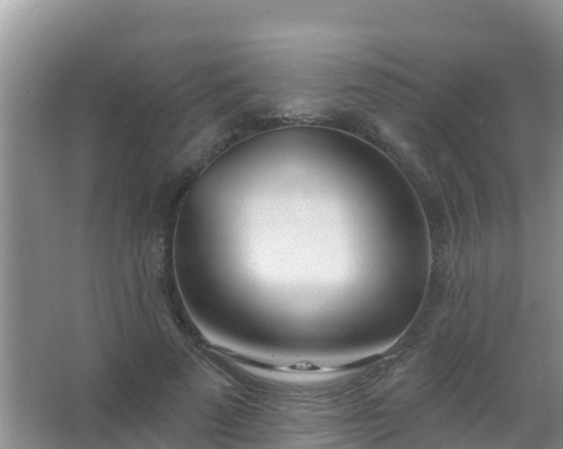 X0000067490689200604150042