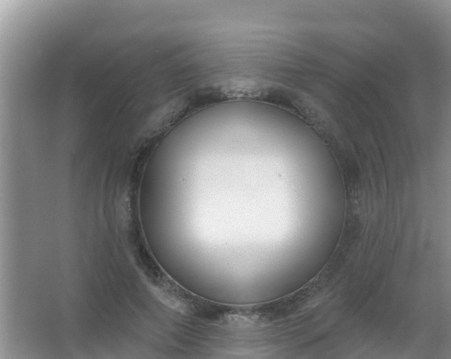 X0000067490690200604150042