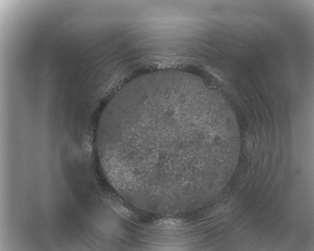 X0000067490691200604150042