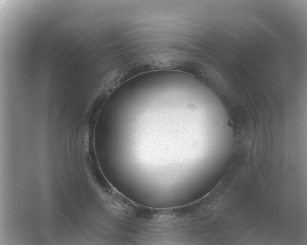 X0000067490694200604150042