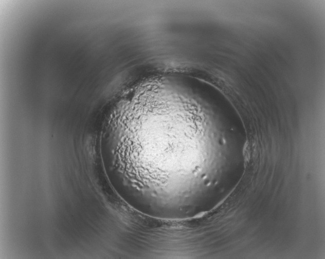 X0000067490695200604150042