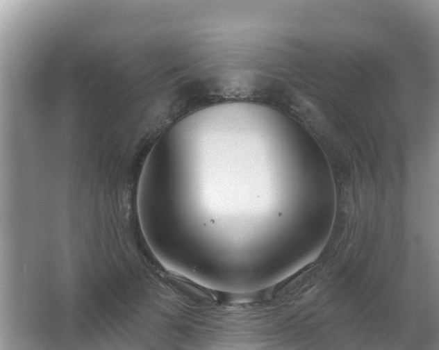 X0000067490697200604150042