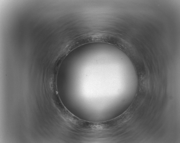 X0000067490698200604150042