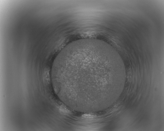 X0000067490699200604150042