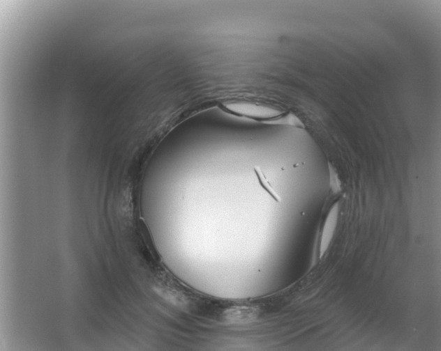 X0000067490700200604150042