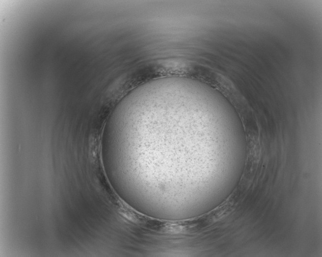 X0000067490701200604150042