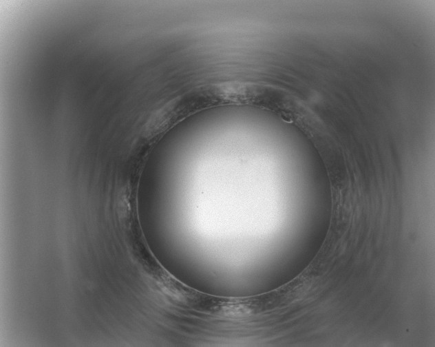 X0000067490702200604150042