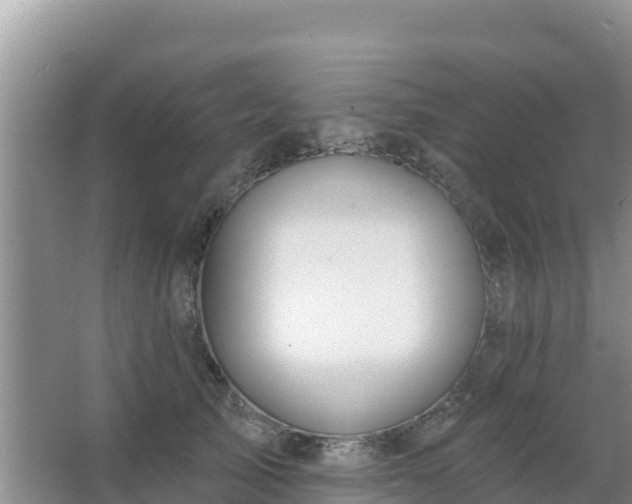 X0000067490705200604150042