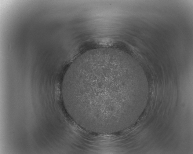 X0000067490707200604150042