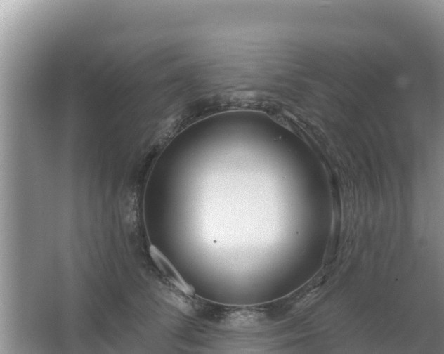 X0000067490708200604150042