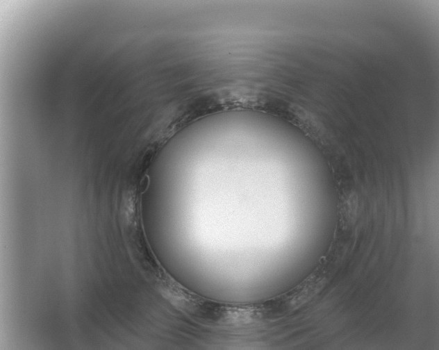 X0000067490709200604150042