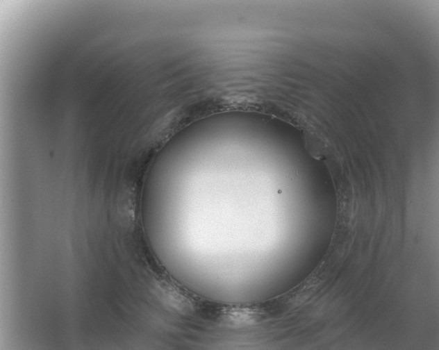 X0000067490710200604150042