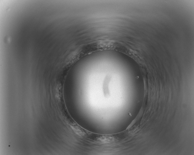 X0000067490712200604150042