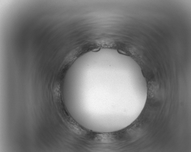 X0000067490713200604150042