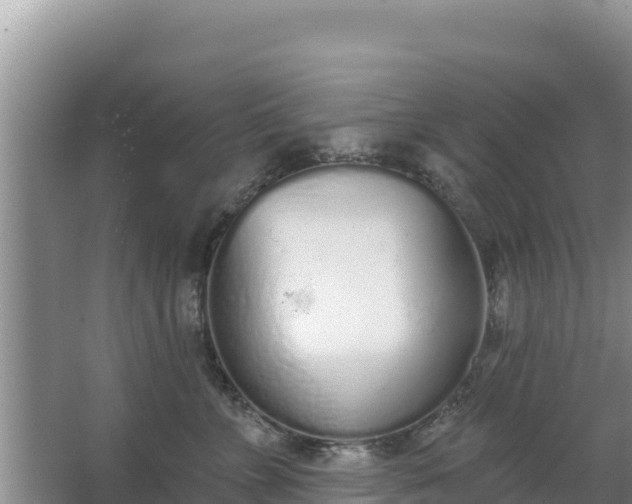 X0000067490715200604150042