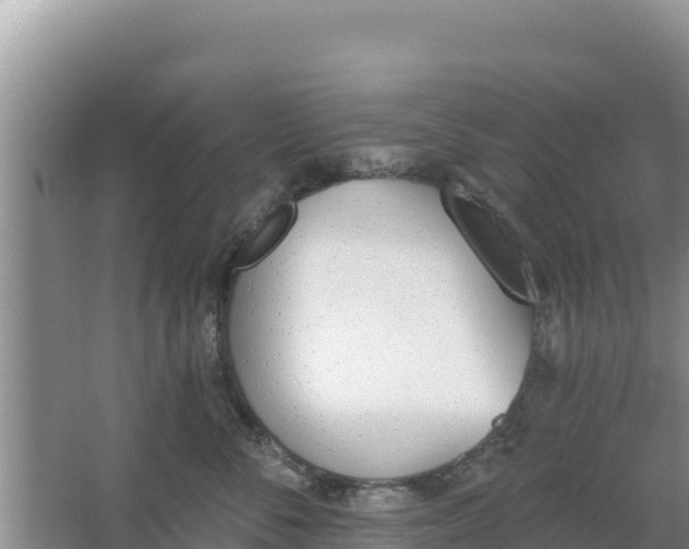 X0000067490716200604150042