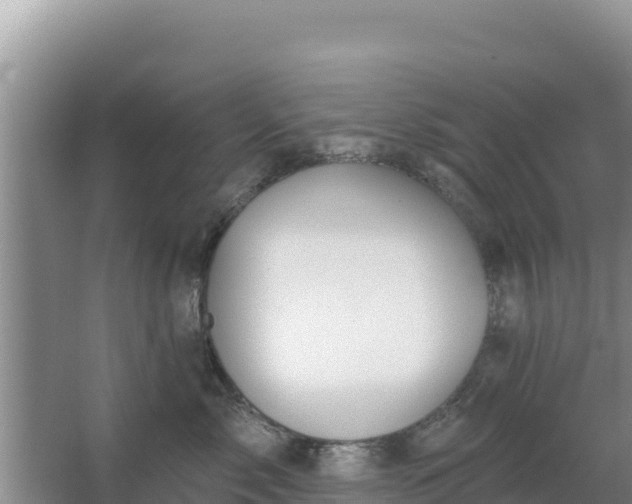 X0000067490717200604150042