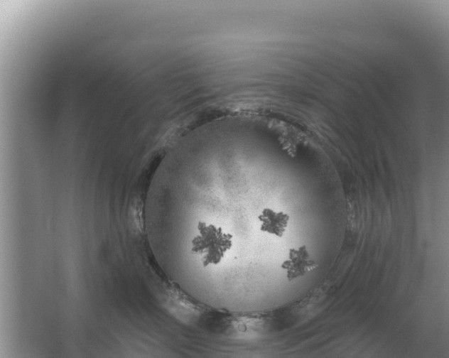 X0000067490718200604150042