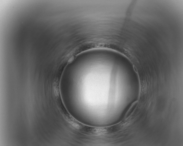 X0000067490719200604150042