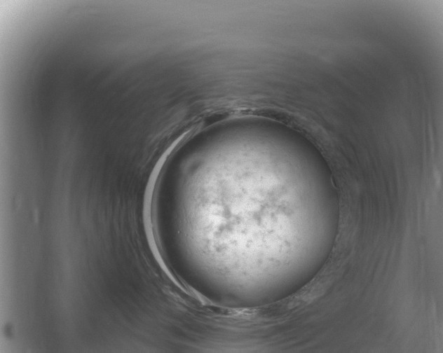 X0000067490720200604150042