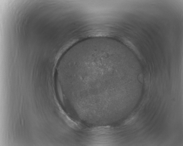 X0000067490721200604150041