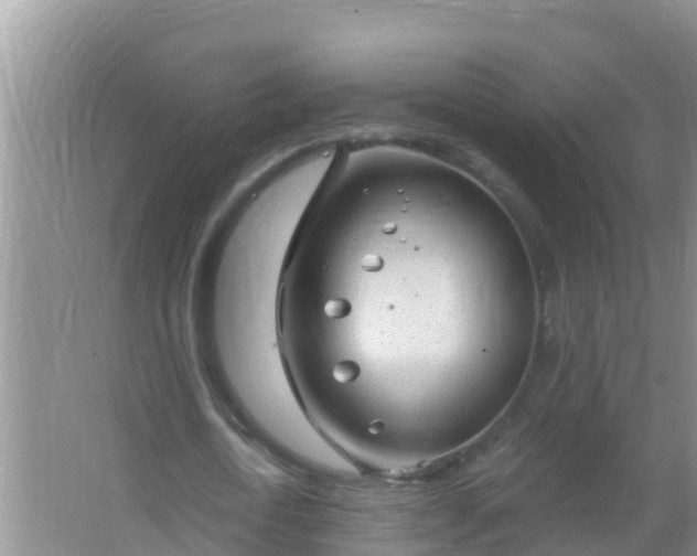 X0000067490722200604150041