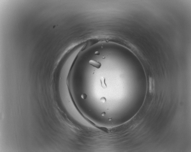 X0000067490723200604150041