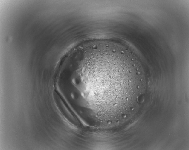 X0000067490725200604150041