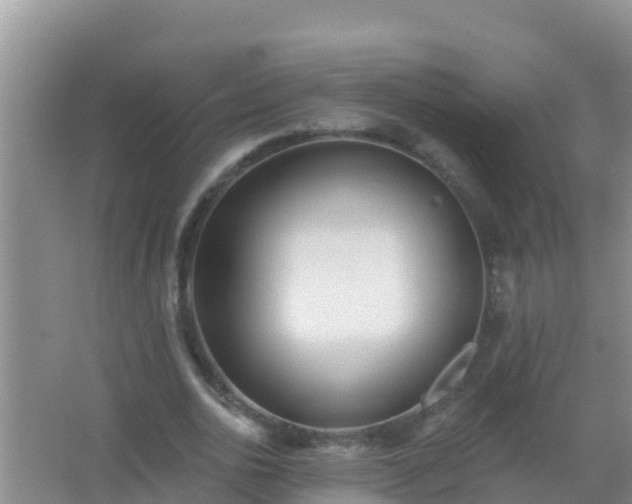 X0000067490726200604150041