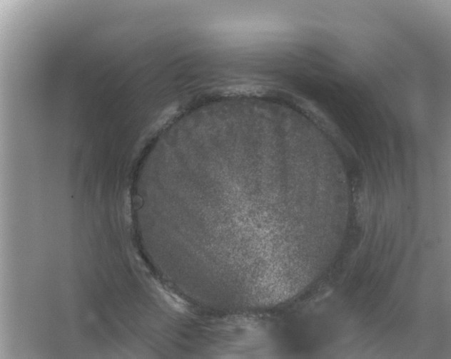 X0000067490729200604150041