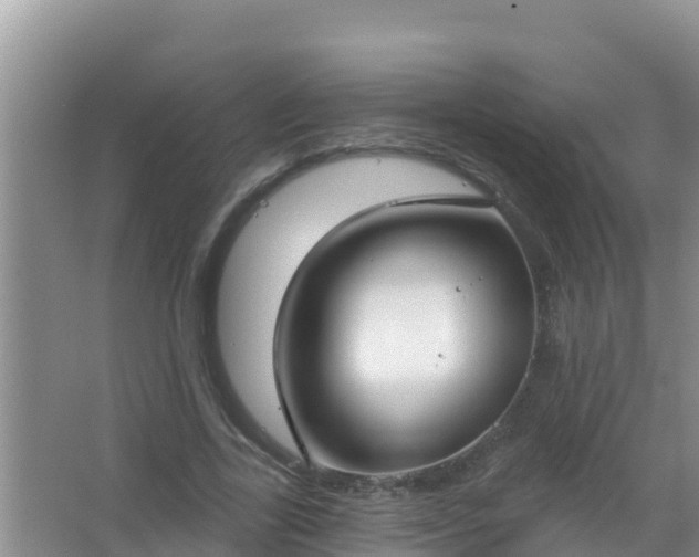 X0000067490731200604150041