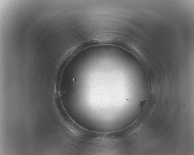 X0000067490733200604150041