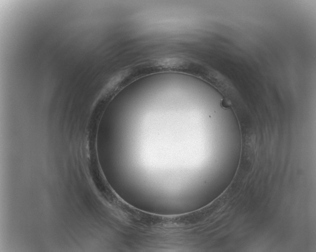 X0000067490734200604150041