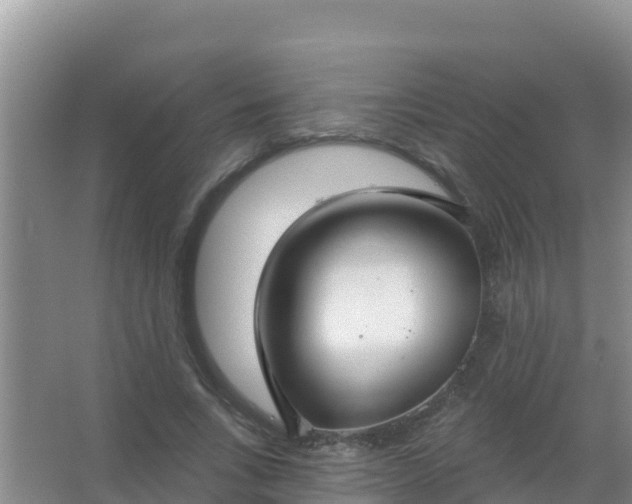 X0000067490735200604150041