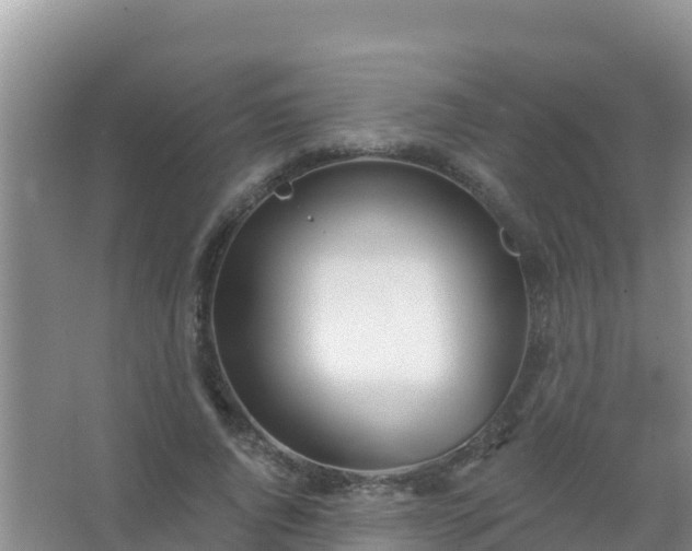 X0000067490736200604150041