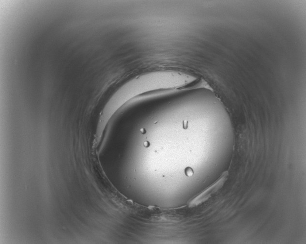 X0000067490739200604150041