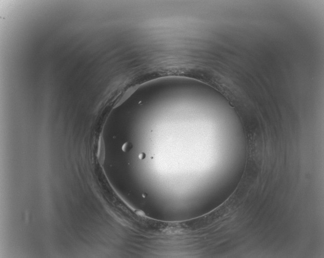 X0000067490742200604150041