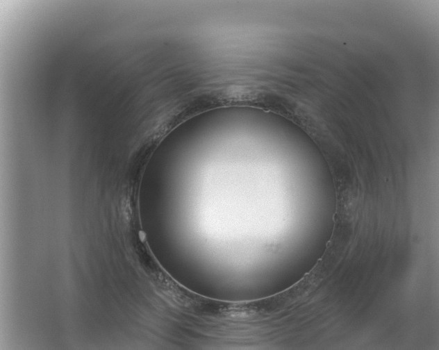 X0000067490746200604150041