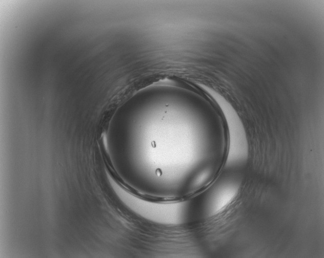 X0000067490750200604150041