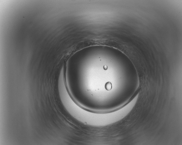 X0000067490752200604150041