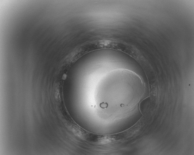 X0000067490754200604150041